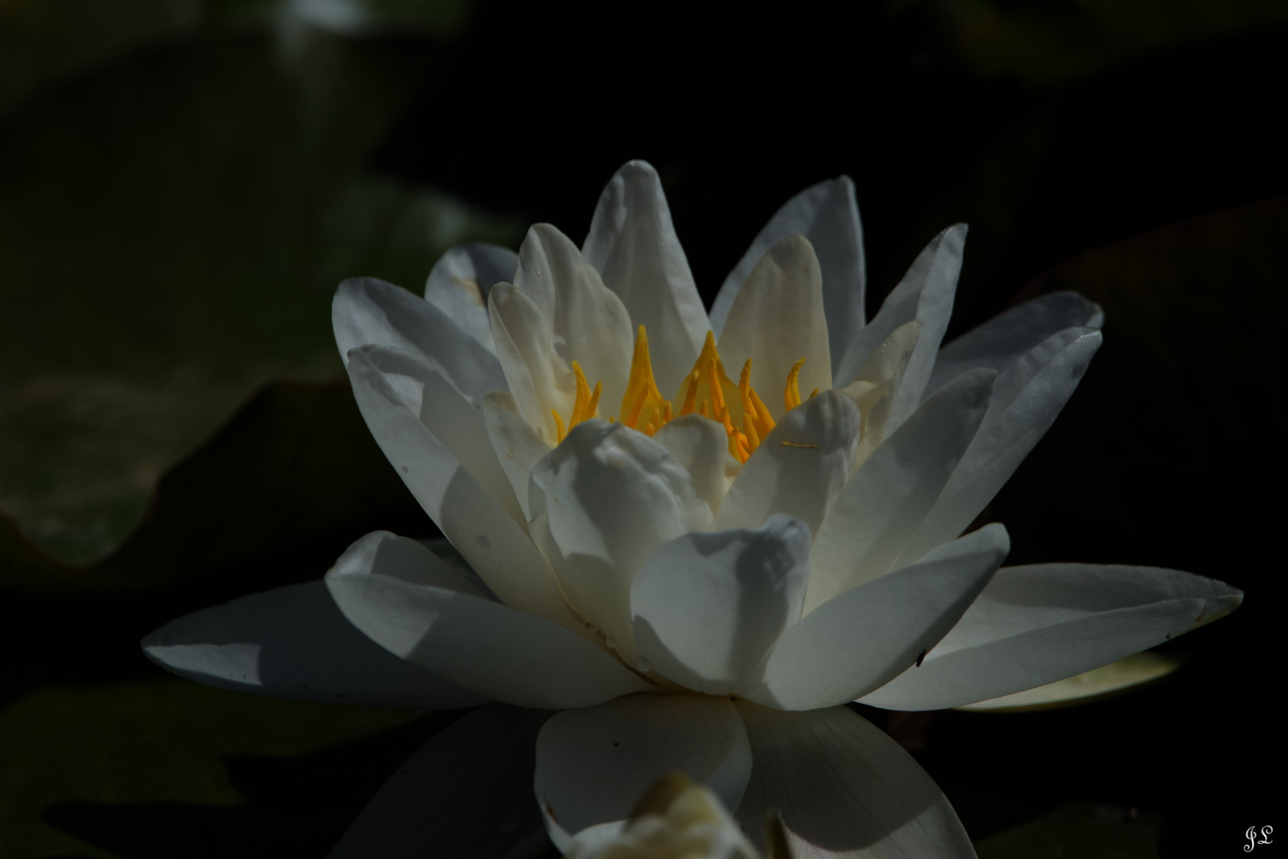 Merveilles de la Nature